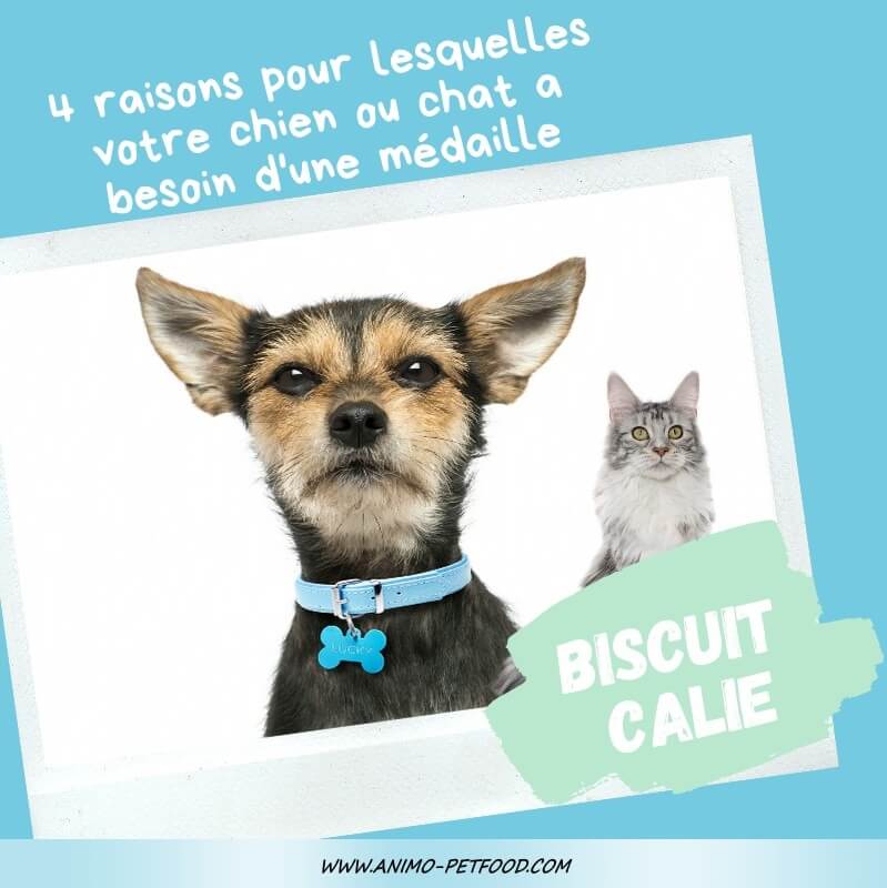 medailles-pour-chien-et-chat